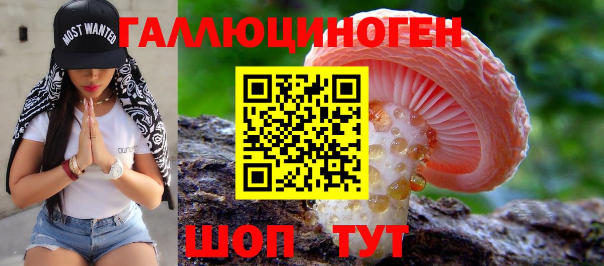 Галлюциногенные грибы Cubensis  где купить наркотик  Новочеркасск  Вход с VPN 