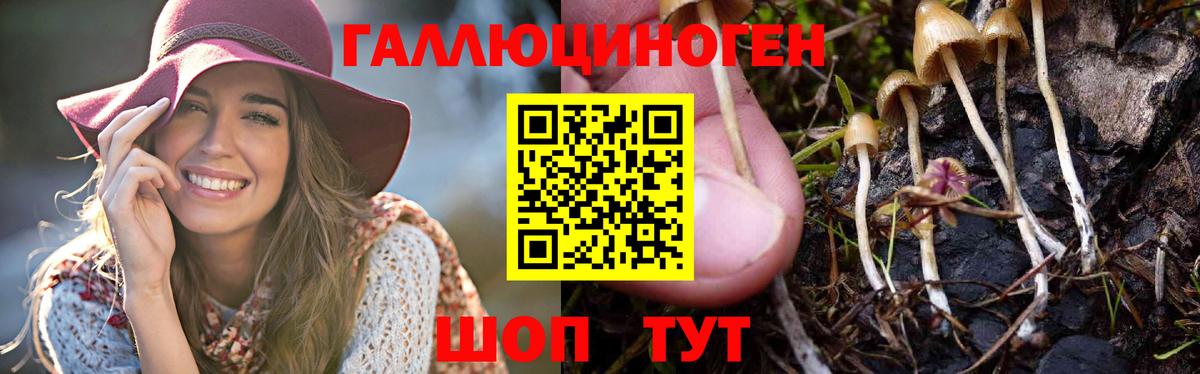 Галлюциногенные грибы прущие грибы Новочеркасск